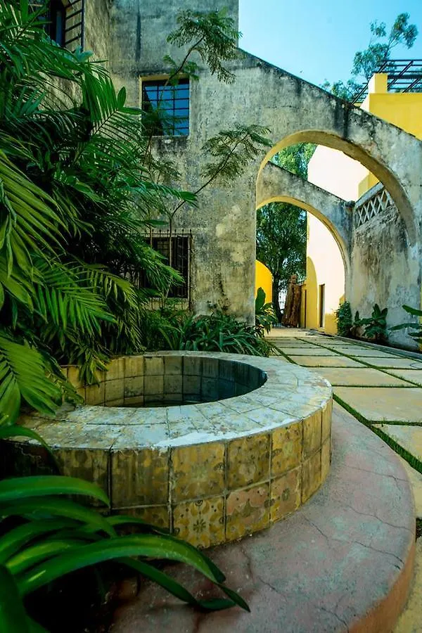 Bungalows Demetria Guadalajara