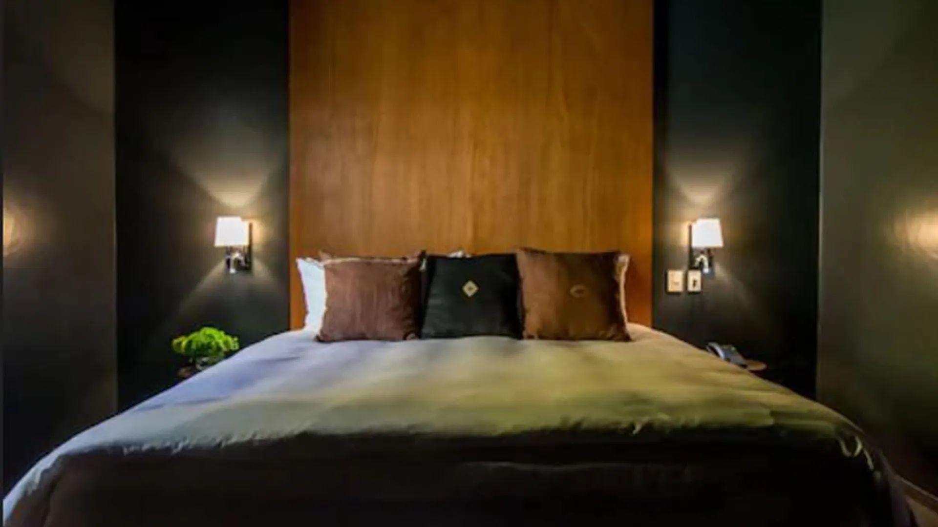 Hotel Bungalows Demetria Guadalajara